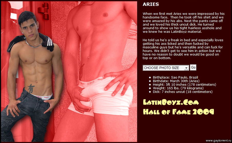 Aries Gay 78
