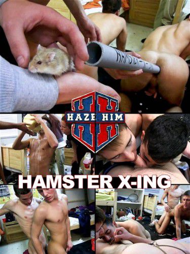 Hamster X-ing.