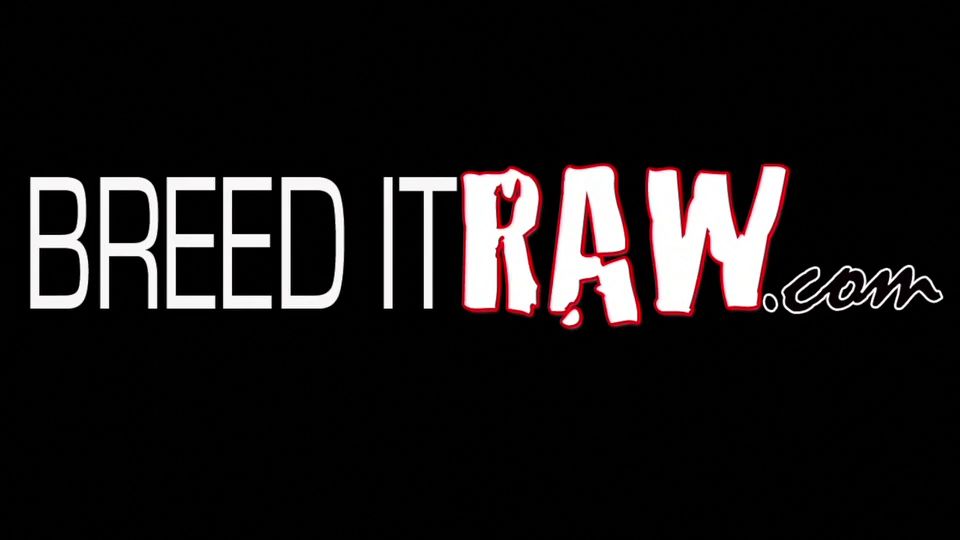 Breed it Raw - 17 Videos (Bareback) - Pack 4 - MP4.