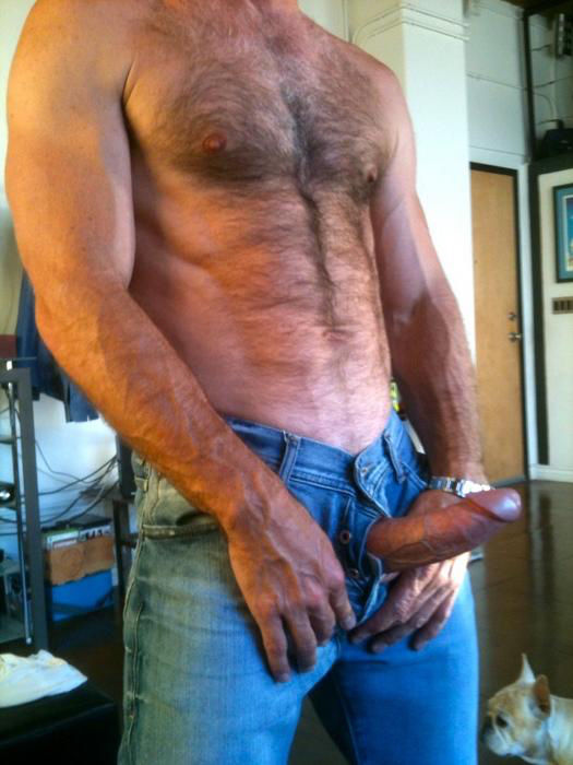 Hairy Buff Brawny And Boned Up Hunks That Just Ooze Sexual