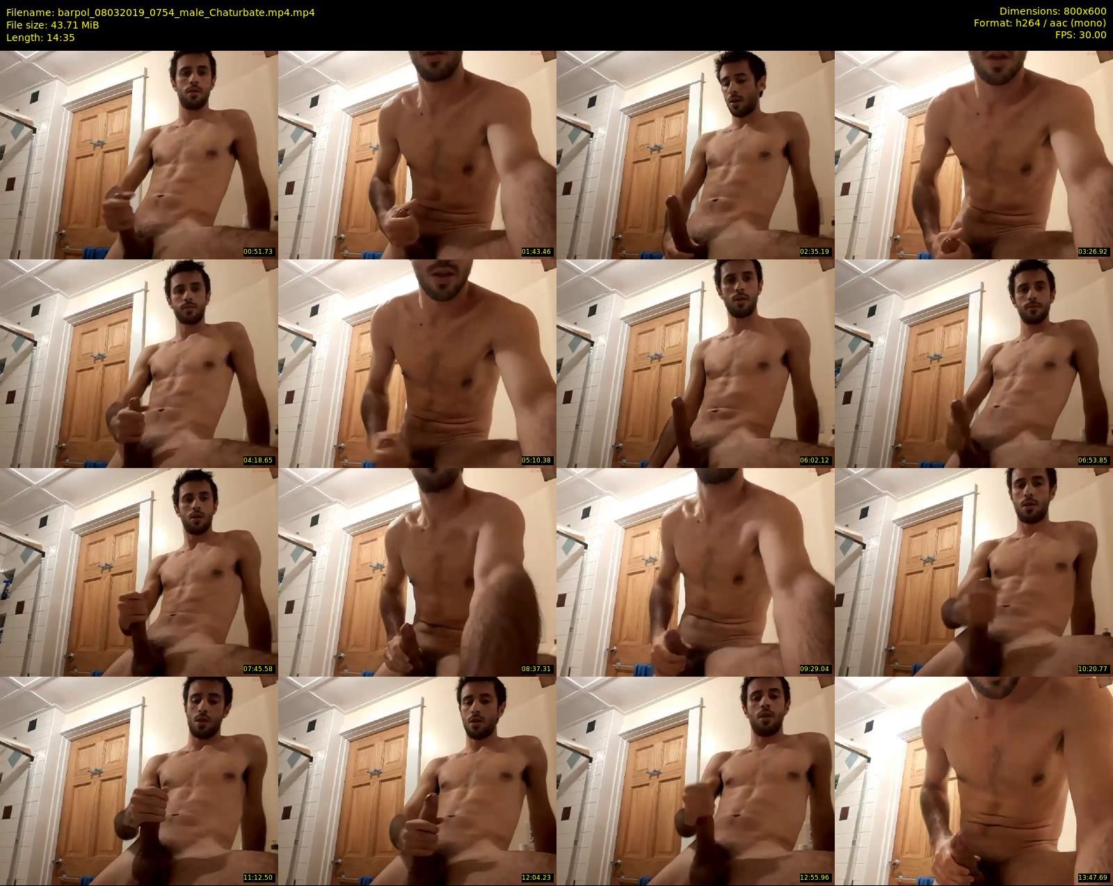 Handsome Australian hunk Barpol with big dick - Chaturbate.