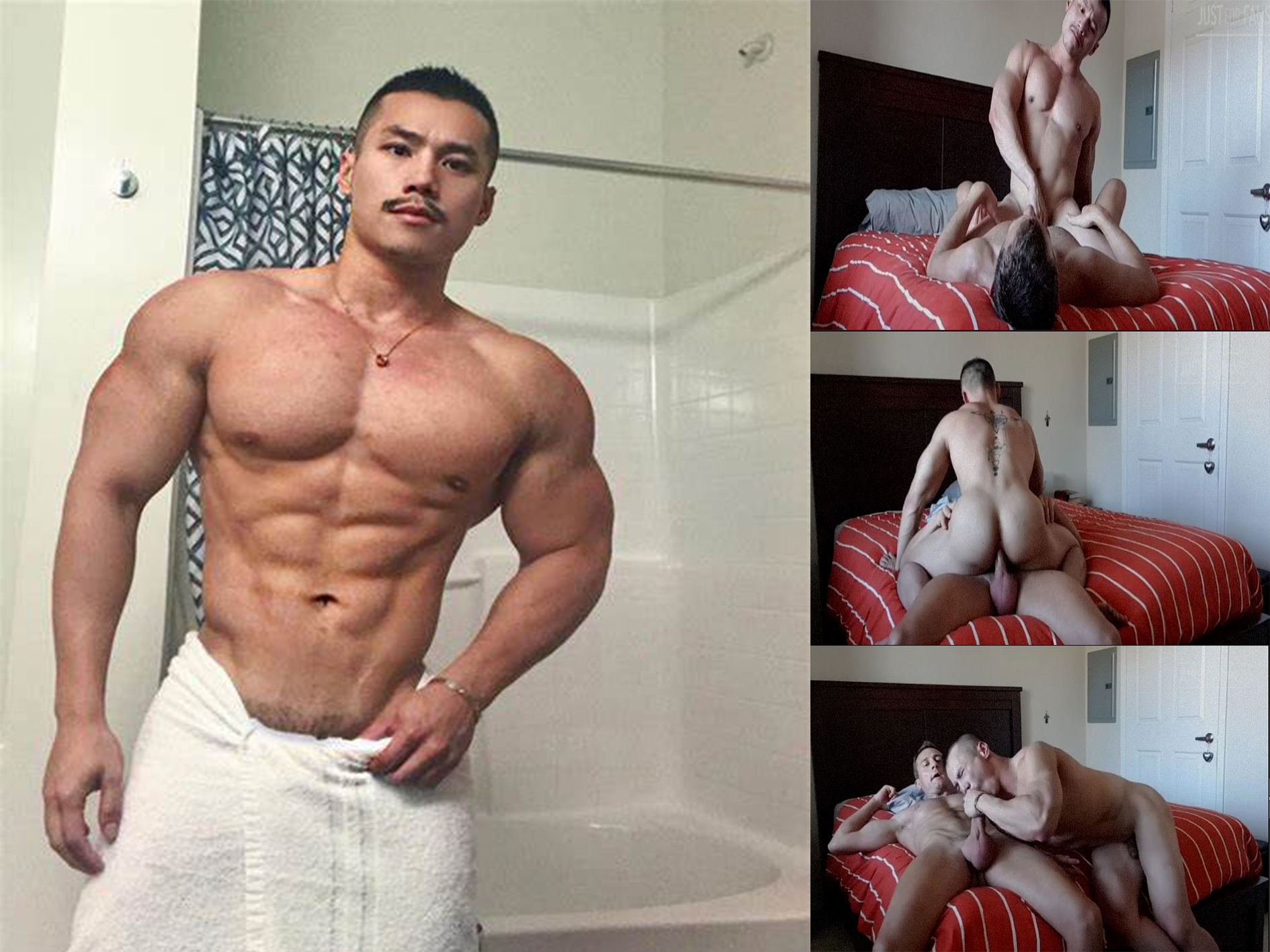 ettore bodybuilder. ettore Getting. ettore VERSION. 