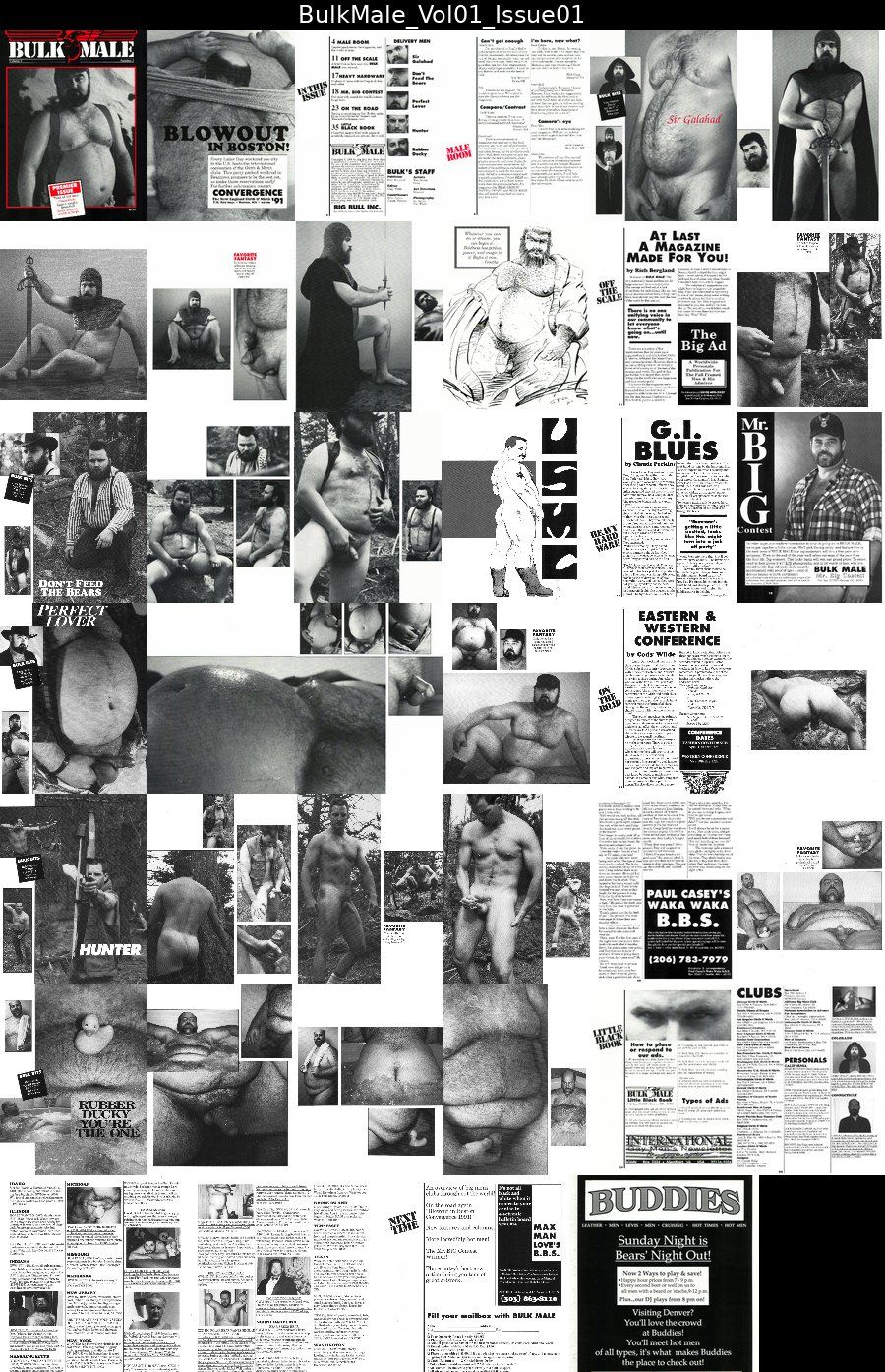 BulkMale Siterip of magazines.