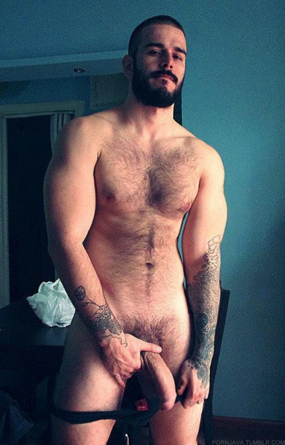 ♺ Mostly Hairy Alpha Hunks to Admire v1.