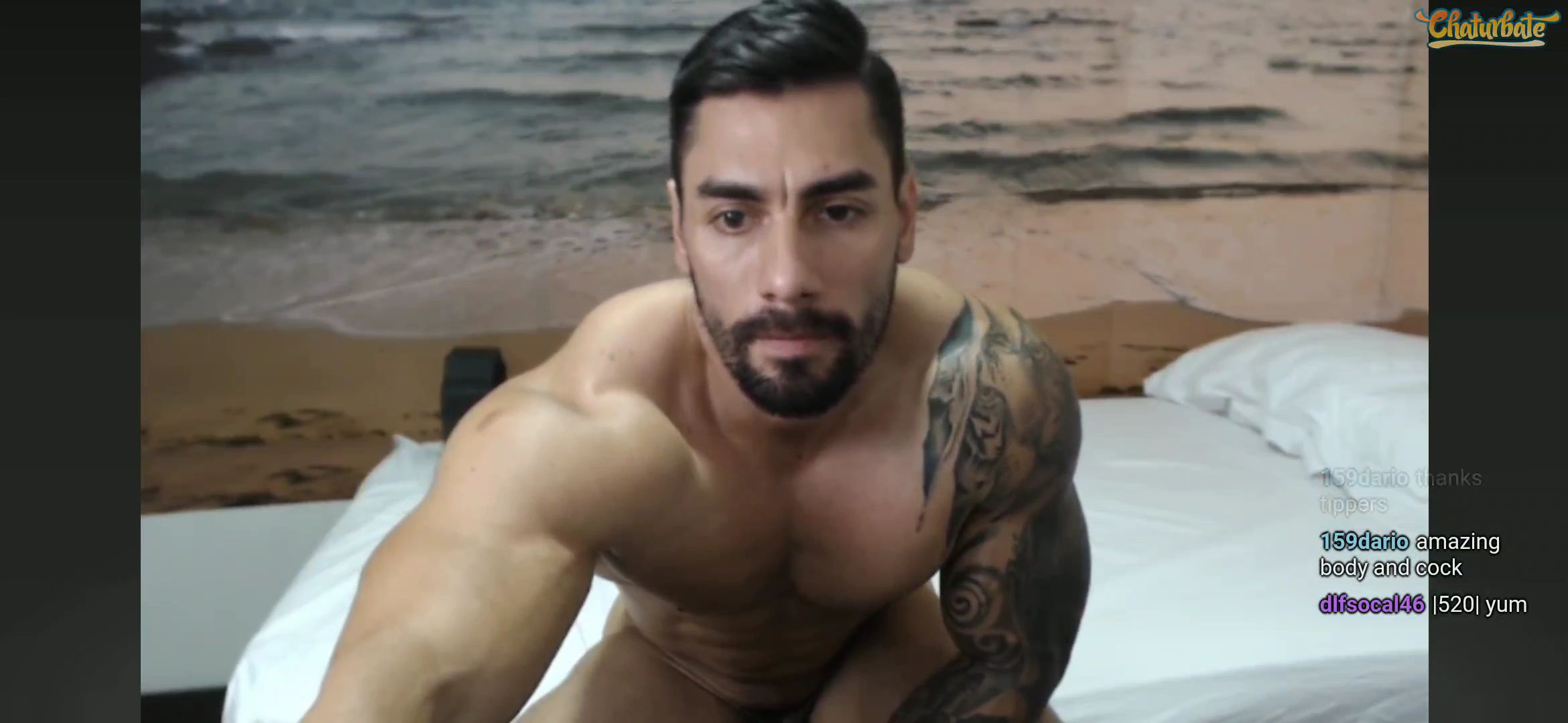 Adam riich Colombian Muscle Webcam Model.