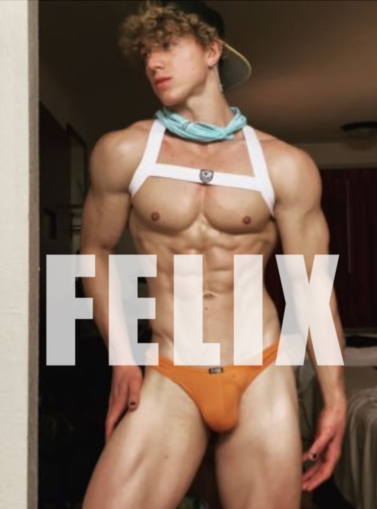 Felix Fox (felixxxfox)