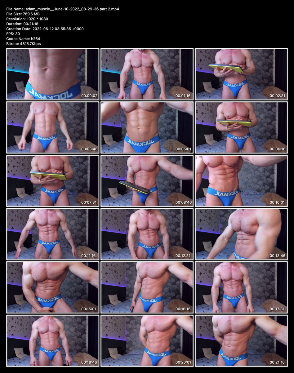 Adam Muscle Chaturbate | My XXX Hot Girl