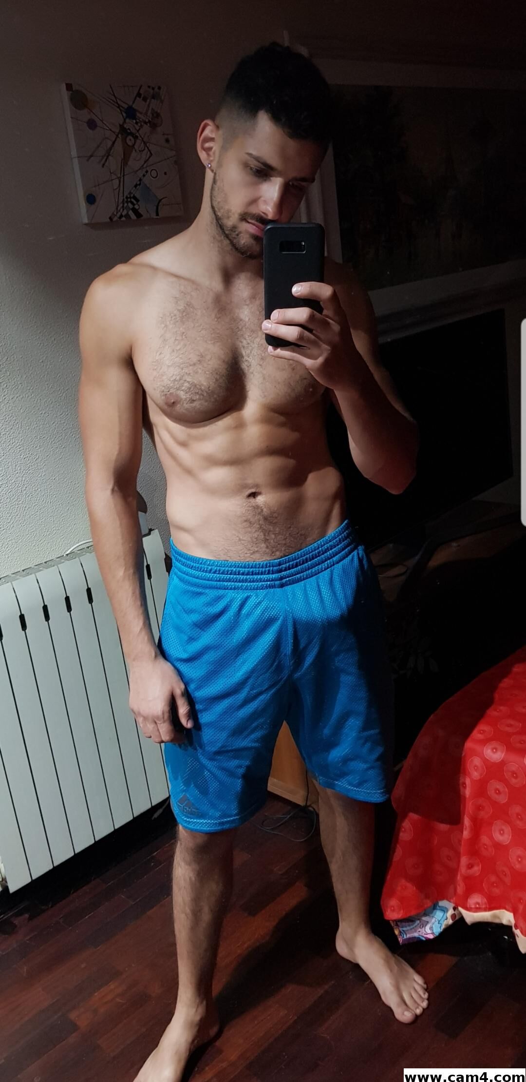 FRENZIS61 massive collection